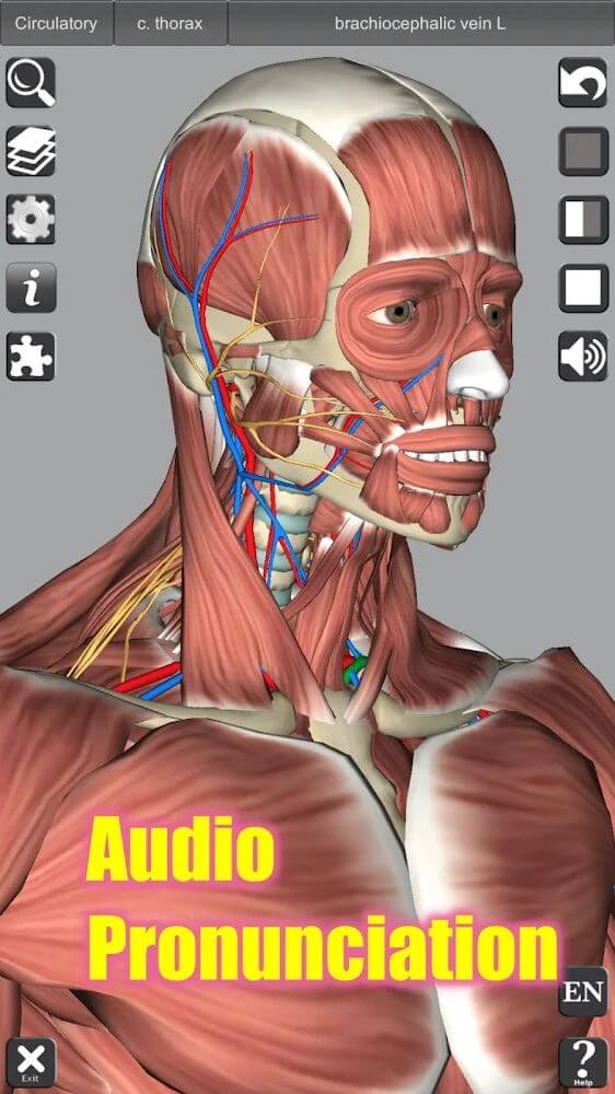 3D Anatomy v6.2 APK (Patched)