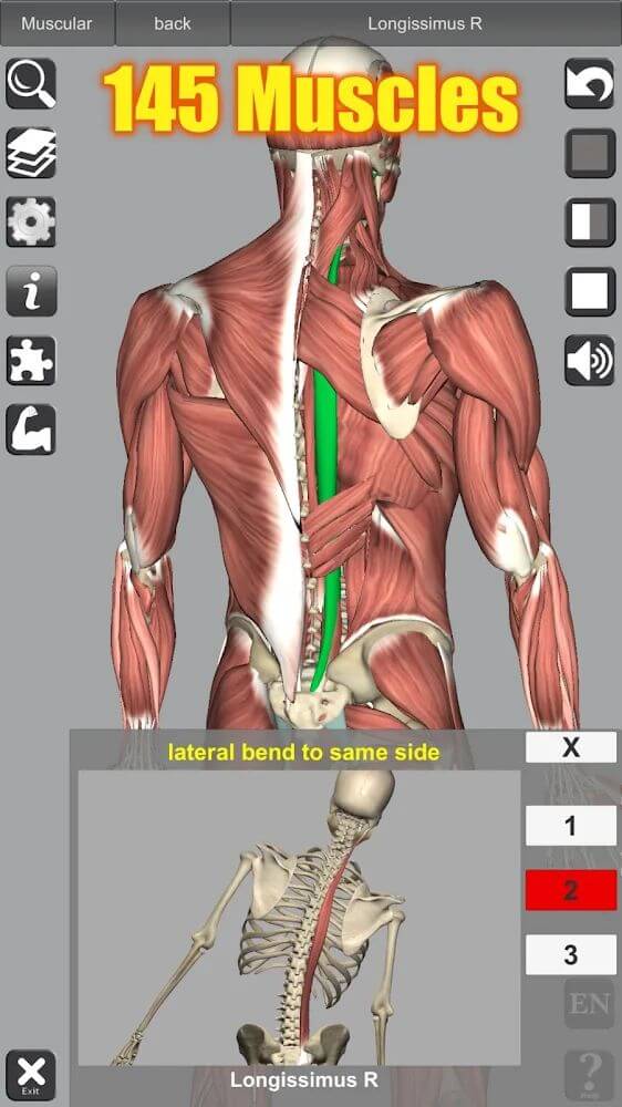 3D Anatomy v6.2 APK (Patched)