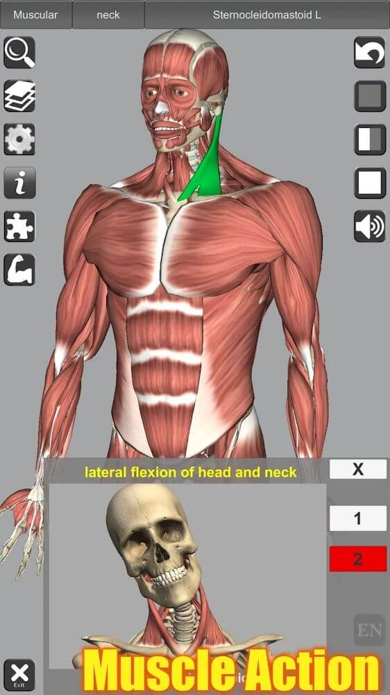 3D Anatomy v6.2 APK (Patched)