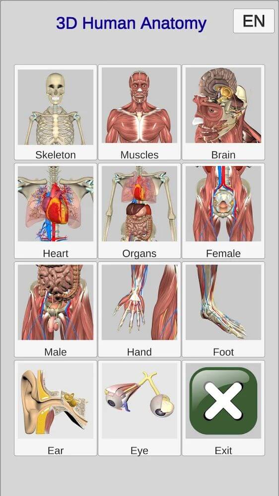 3D Anatomy v6.2 APK (Patched)