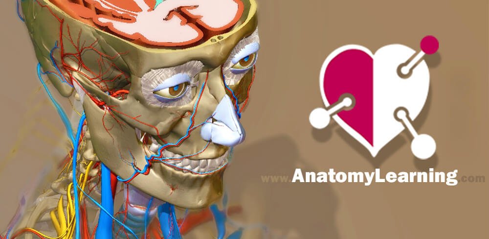 Anatomy Learning v2.1.329 APK + MOD (Full Version Unlocked)