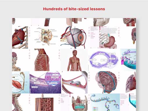 Anatomy & Physiology 6.2.00 (Full) Apk + Data for Android