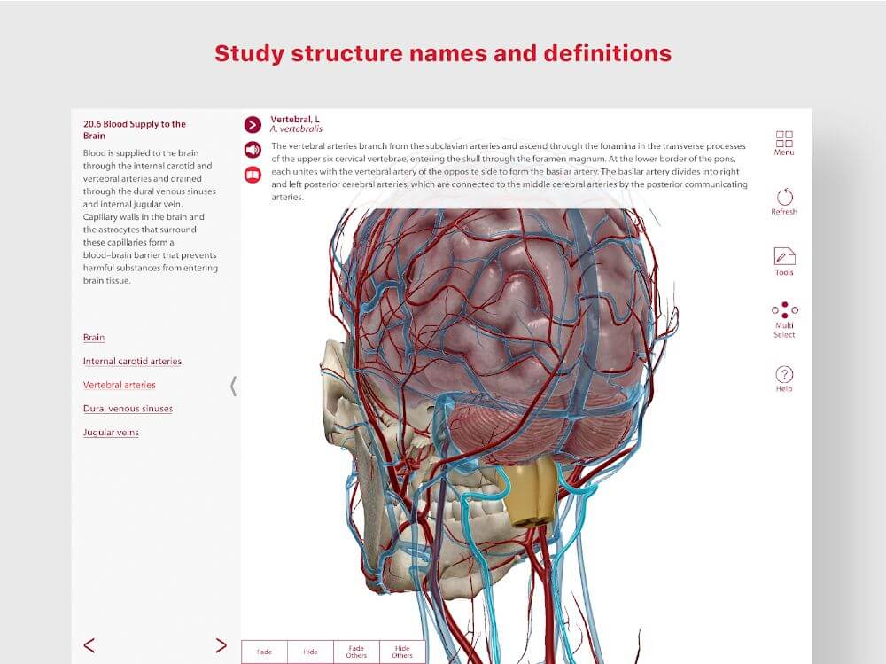 Anatomy & Physiology v6.2.00 APK (Full Paid, Patched)