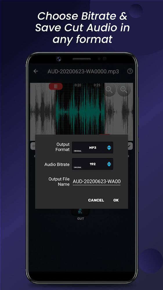 Audio Video Manager v2.0.2 MOD APK (Premium Unlocked)