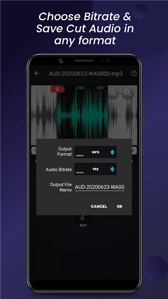 Audio Video Manager v7.0.1 APK + MOD (Premium Unlocked)