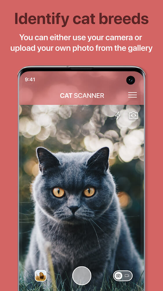 Cat Scanner v17.2.1-G APK + MOD (Premium Unlocked)