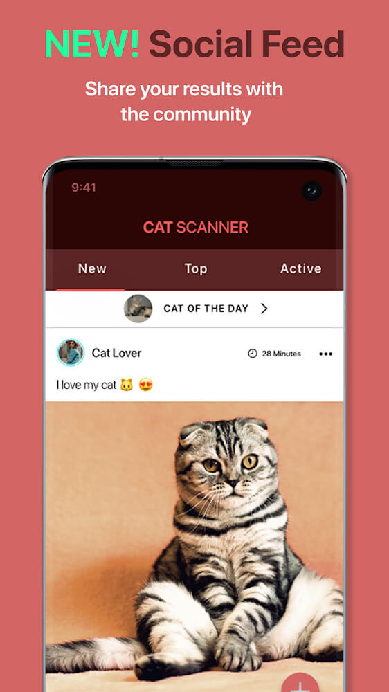 Cat Scanner v17.2.1-G APK + MOD (Premium Unlocked)