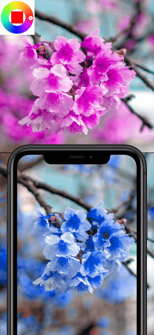 Color Changing Camera v1.319 MOD APK (Premium Unlocked)