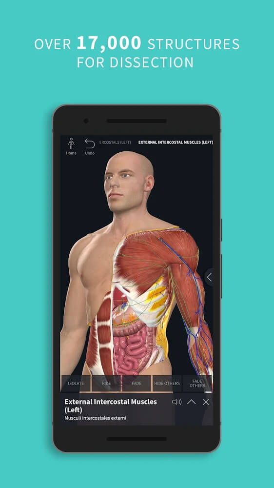Complete Anatomy 2022 v8.0.1 APK + OBB - Download for Android