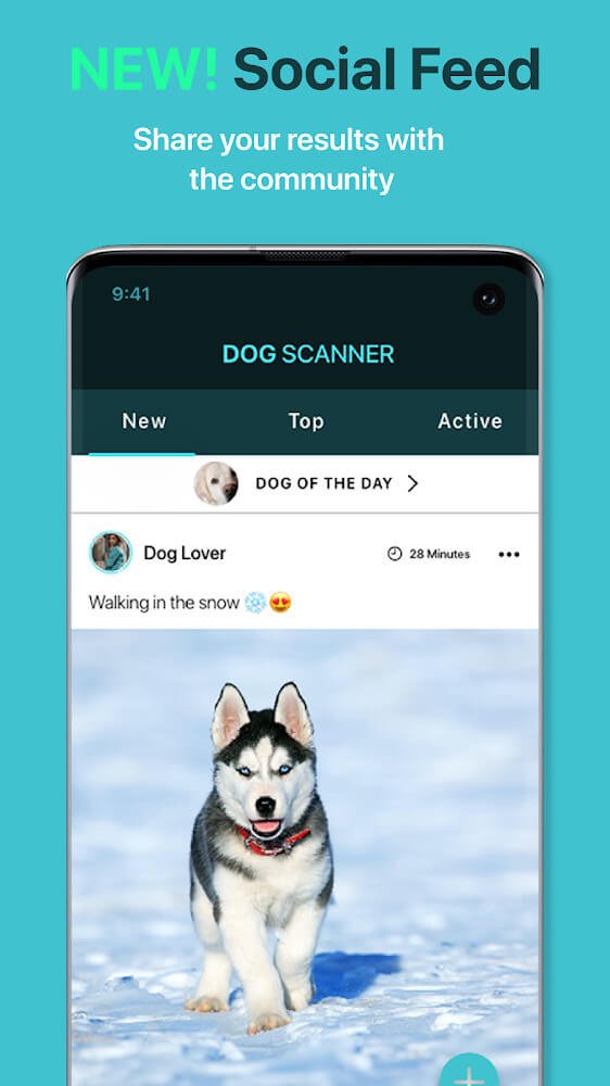 Dog Scanner v12.1.0-G APK + MOD (Premium Unlocked)