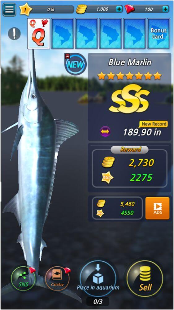 Fishing Season v1.11.18 MOD APK (Damage Multiplier)