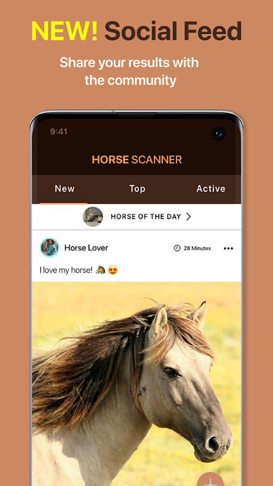 Horse Scanner v12.1.0-G APK + MOD (Premium Unlocked)