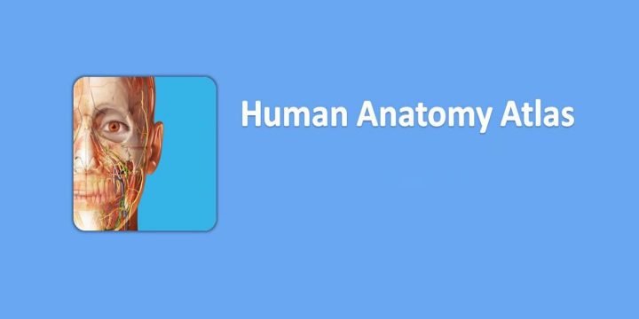 Human Anatomy Atlas 2021 APK v2021.2.27