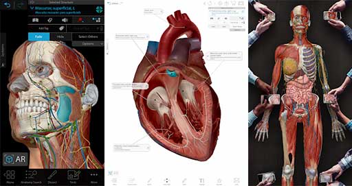 Human Anatomy Atlas 2021 Mod Apk 2021.2.27 (Paid) Data Android