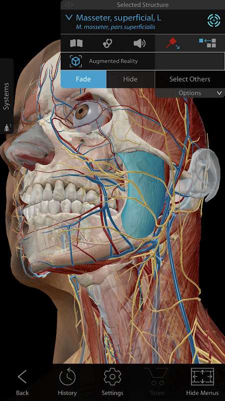 Human Anatomy Atlas 2021 v2021.2.27 APK + OBB (Free Shopping)