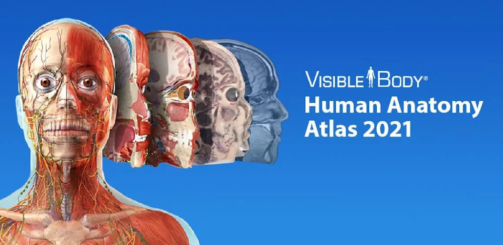 Human Anatomy Atlas 2024 v2024.00.005 APK + MOD (All Content Unlocked)