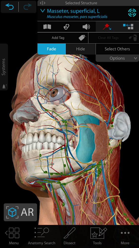 Human Anatomy Atlas 2024 v2024.00.005 APK + MOD (All Content Unlocked)