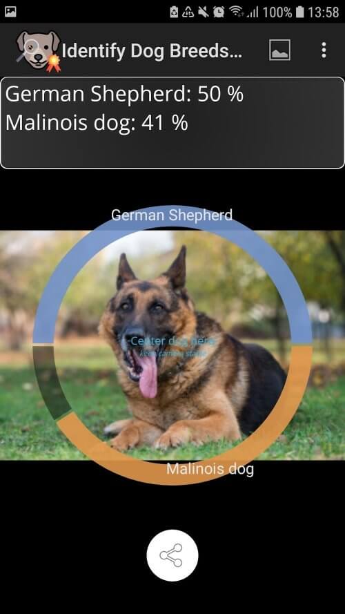 Identify Dog Breeds Pro v28 APK (Full Version)