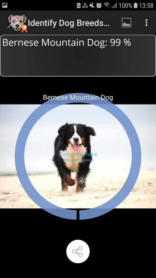 Identify Dog Breeds Pro v28 APK (Full Version)