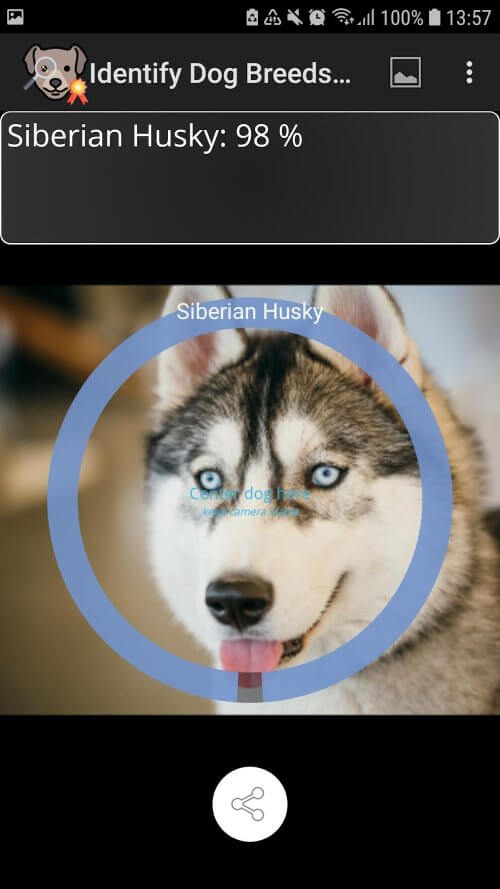 Identify Dog Breeds Pro v28 APK (Full Version)