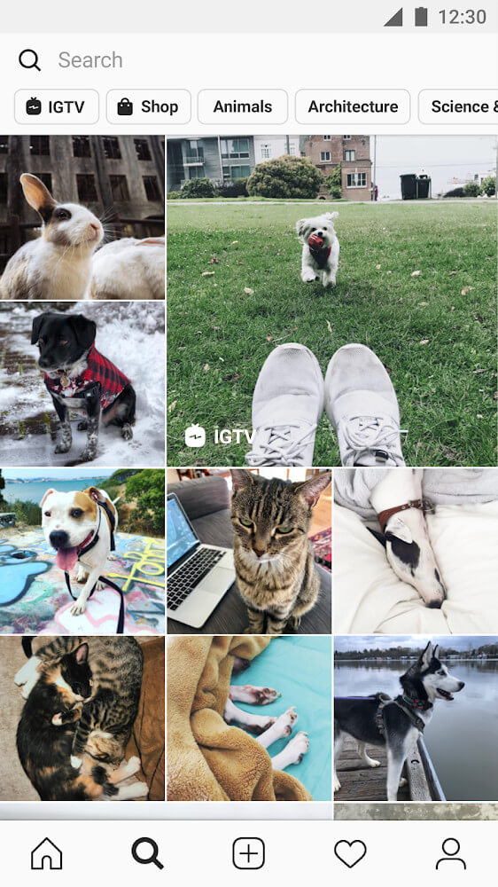 Instagram v279.0.0.23.112 MOD APK (Many Feature)