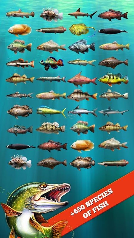 Let's Fish MOD APK v5.17.0 (Instant Fishing)