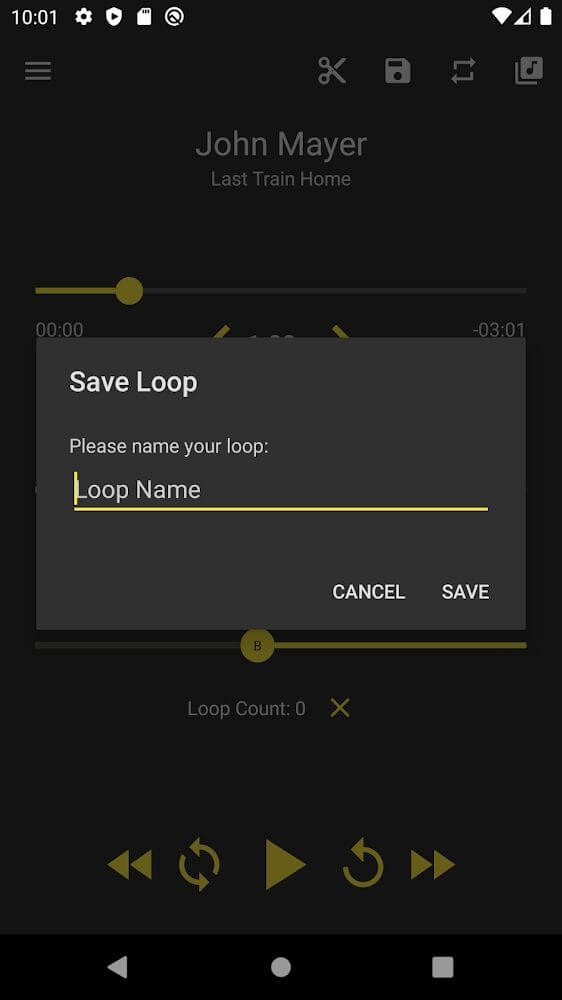 Loop Player v2.1.0 APK + MOD (Pro Unlocked)