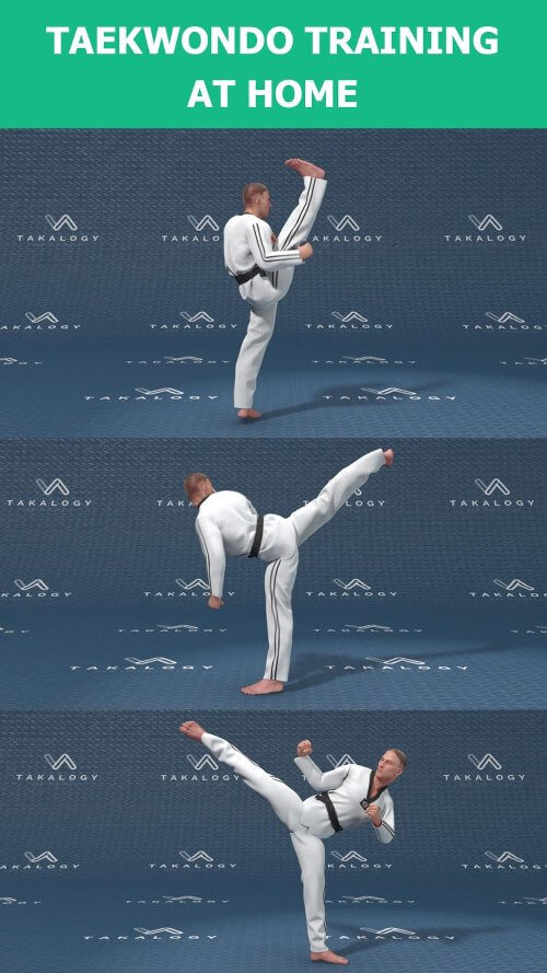 Mastering Taekwondo at Home v1.4.10 MOD APK (Premium Unlocked)