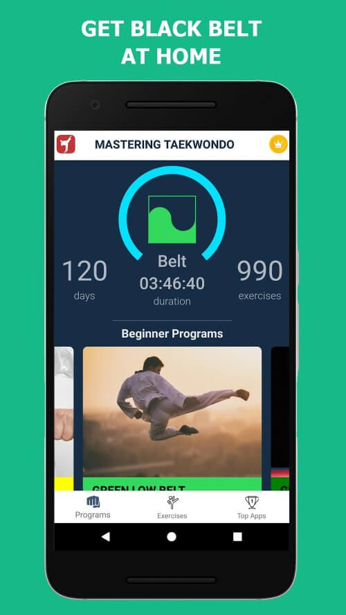 Mastering Taekwondo at Home v1.4.10 MOD APK (Premium Unlocked)