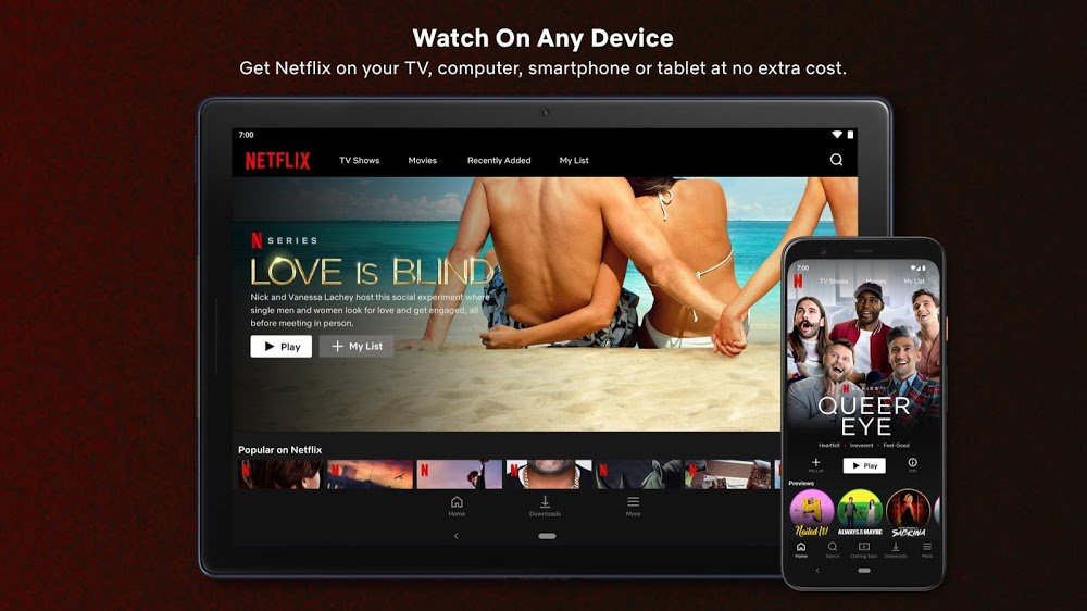 Netflix vVaries with device MOD APK (Premium/4K HDR/Unlocked All)