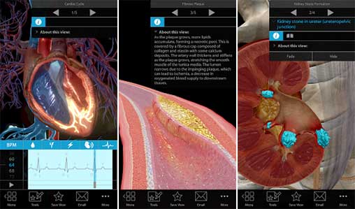 Physiology & Pathology 1.0.11 (Full) Apk + Data for Android