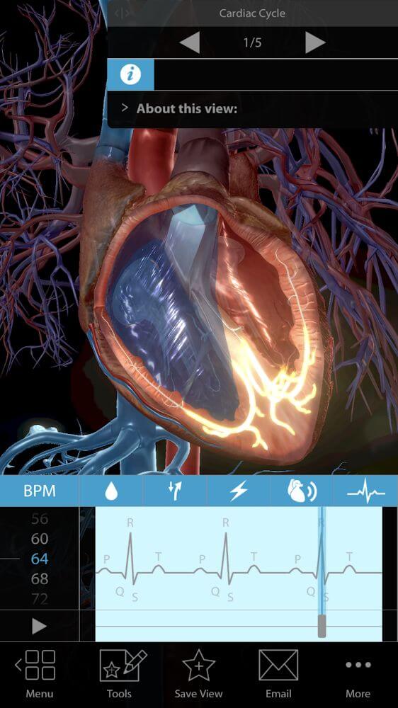 Physiology & Pathology v1.1.06 APK + OBB (Full Paid, Patched)