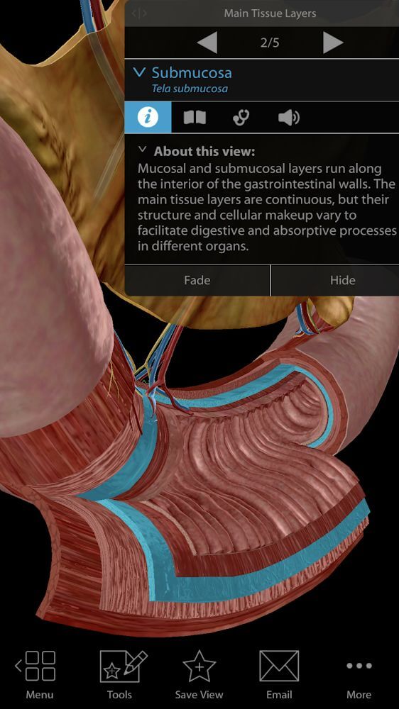 Physiology & Pathology v1.1.06 APK + OBB (Full Paid, Patched)