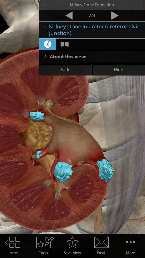 Physiology & Pathology v1.1.06 APK + OBB (Full Paid, Patched)