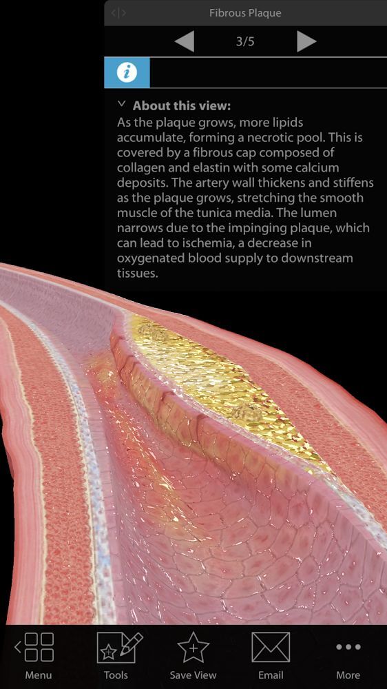 Physiology & Pathology v1.1.06 APK + OBB (Full Paid, Patched)