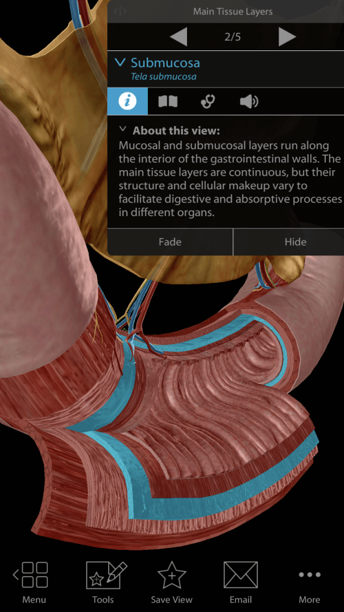 Physiology & Pathology v1.1.06 APK (PAID/Patched)