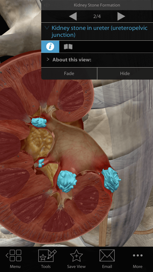 Physiology & Pathology v1.1.06 APK (PAID/Patched)