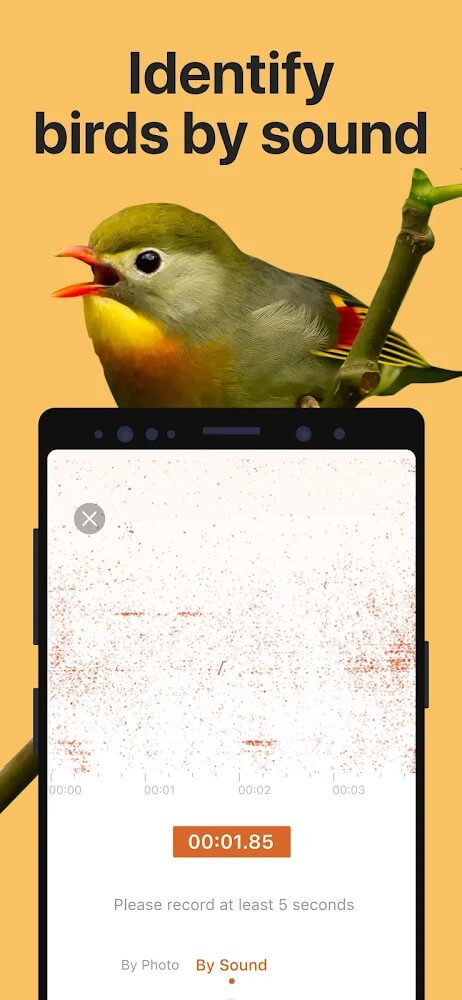 Picture Bird - Bird Identifier v2.8.1 APK + MOD (Premium Unlocked)