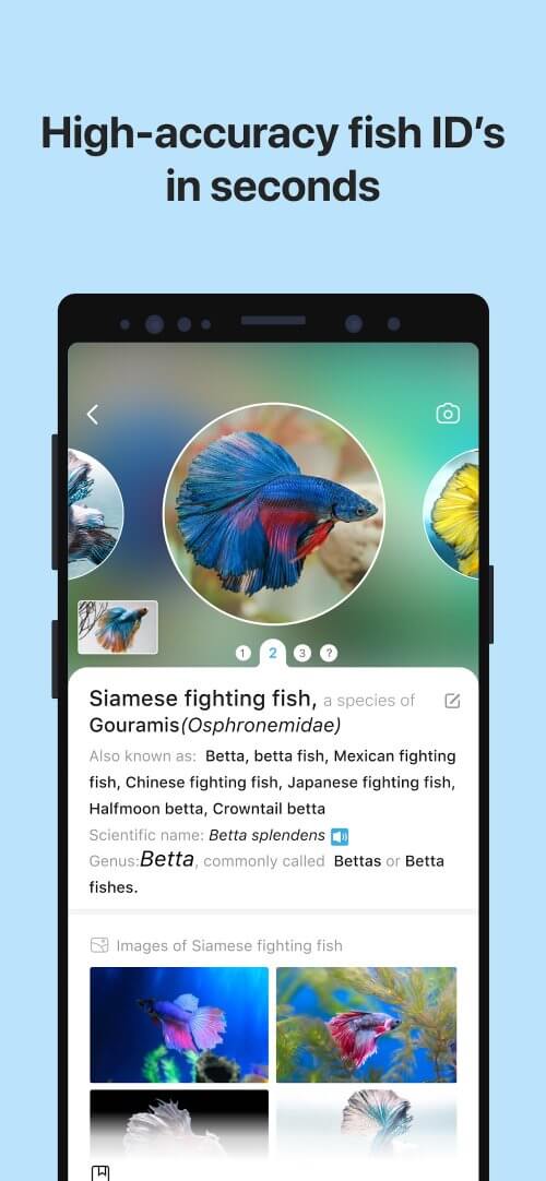 Picture Fish - Fish Identifier v2.4.22 MOD APK (Premium Unlocked)