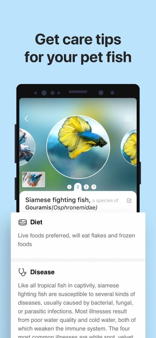 Picture Fish - Fish Identifier v2.4.22 MOD APK (Premium Unlocked)