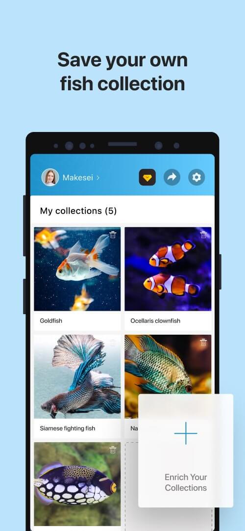 Picture Fish - Fish Identifier v2.4.22 MOD APK (Premium Unlocked)