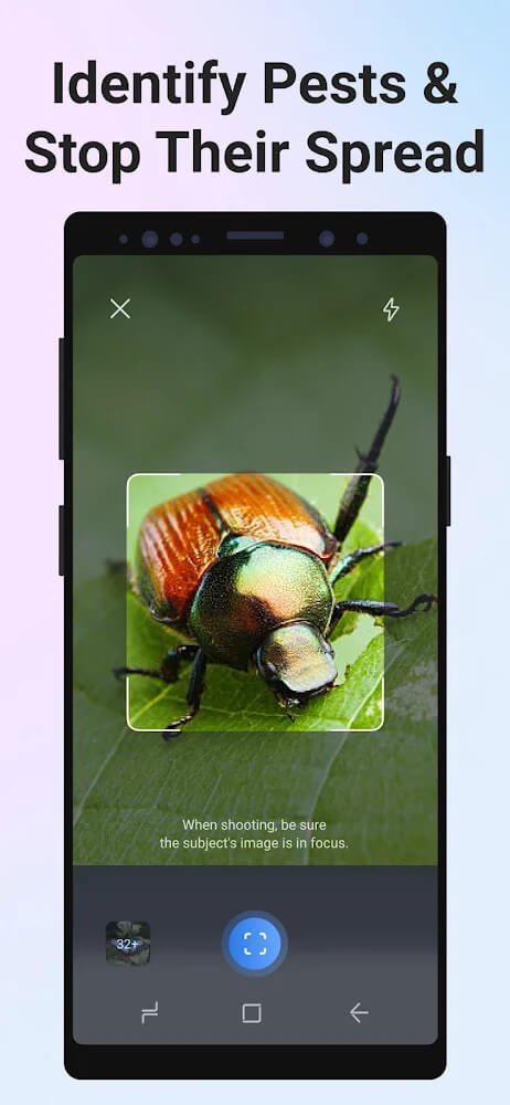 Picture Insect - Bug Identifier v2.7.3 APK + MOD (Premium Unlocked)