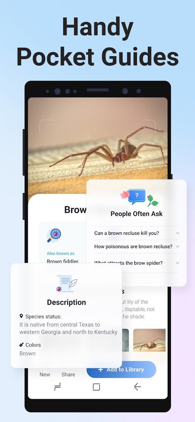 Picture Insect & Spider ID MOD APK 2.8.10 (Premium Unlocked)