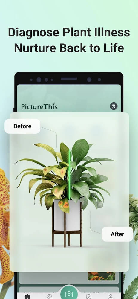 PictureThis v4.3.1 MOD APK (Premium Unlocked)