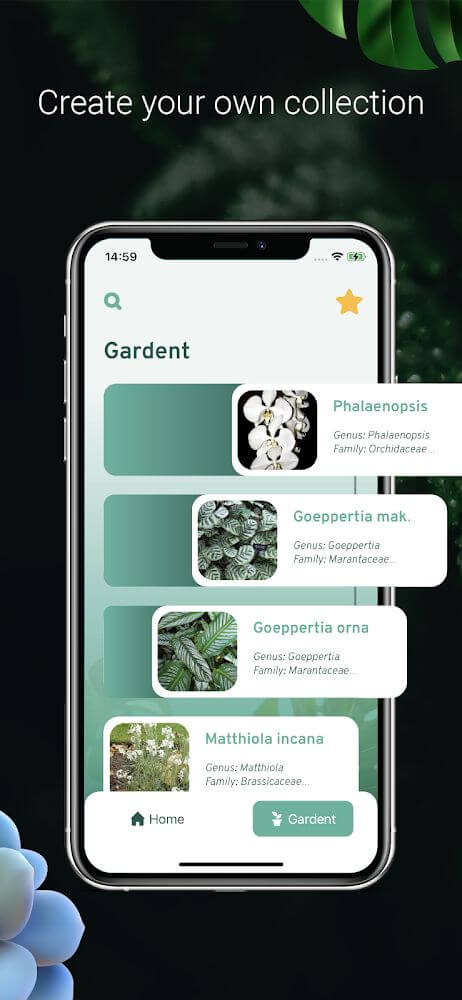 Plant Identification v2.3 APK + MOD (Premium Unlocked)