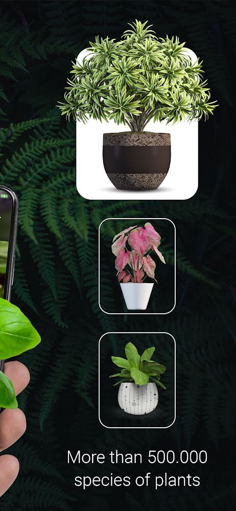 Plant Identification v2.3 APK + MOD (Premium Unlocked)