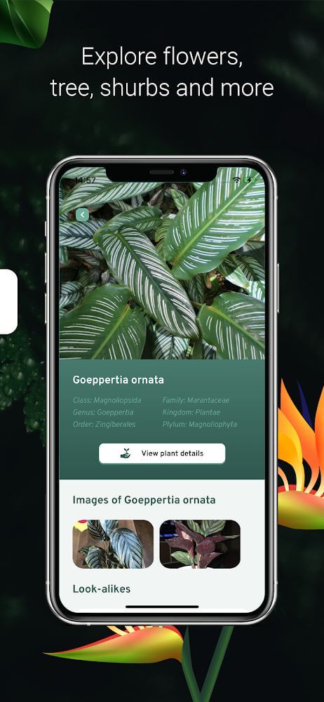 Plant Identification v2.3 APK + MOD (Premium Unlocked)