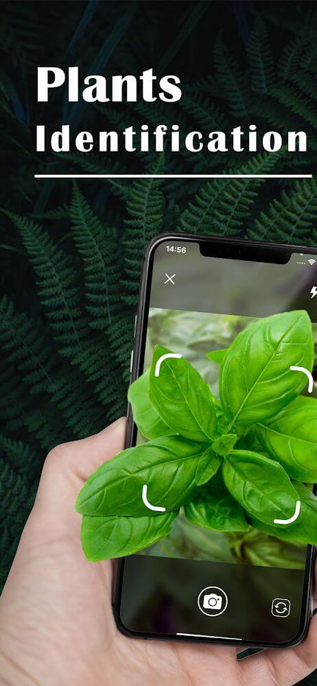 Plant Identification v2.3 APK + MOD (Premium Unlocked)