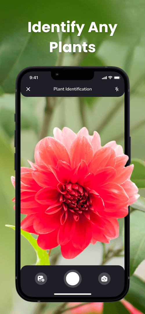 PlantIn: Plant Identification v2.14.0 MOD APK (Premium Unlocked)