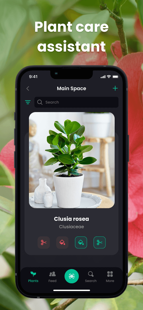 PlantIn: Plant Identification v2.14.0 MOD APK (Premium Unlocked)